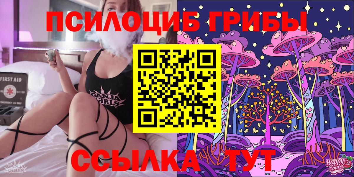 как найти закладки  Галлюциногенные грибы Magic Shrooms  Псилоцибиновые грибы GOLDEN TEACHER  Вход с VPN  Михайловка 